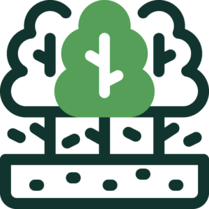 Trải nghiệm thiên nhiên