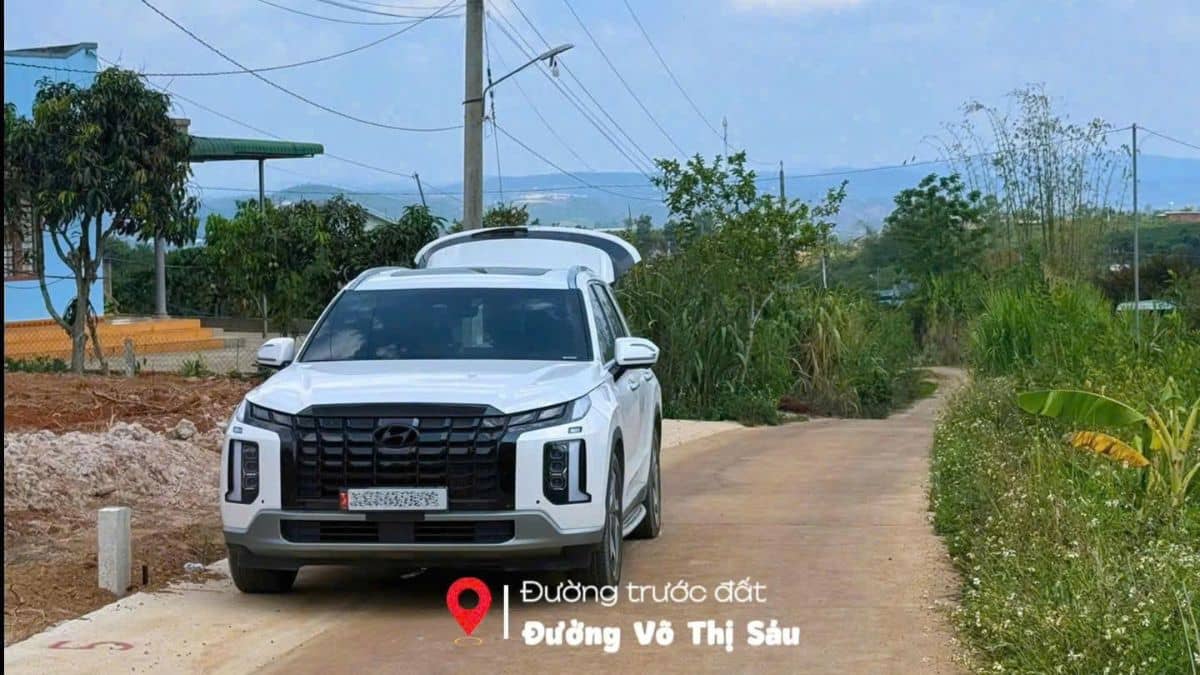 Đất Đinh Văn Lâm Hà