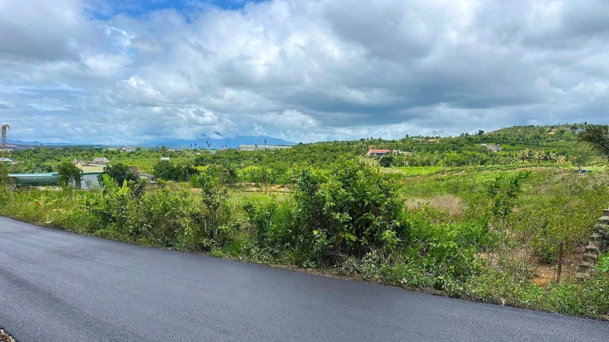 Đất Đinh Văn Lâm Hà