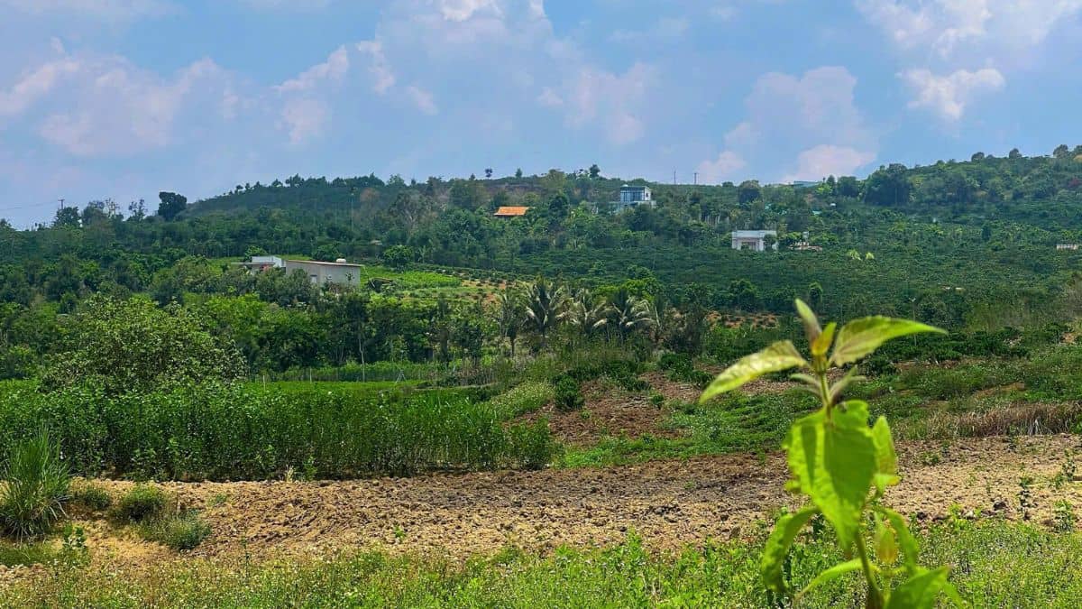 Đất Đinh Văn Lâm Hà